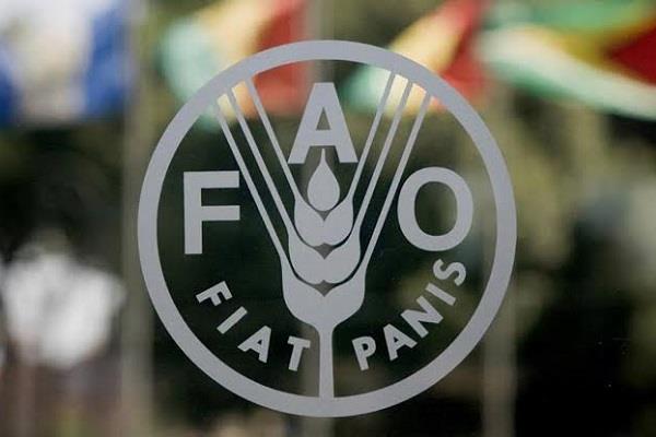 La FAO lance un appel en faveur de la conservation des sols et de l'eau