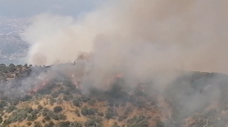 Ouezzane: les feux ont ravagé 270 hectares de forêt, les autorités poursuivent leurs efforts