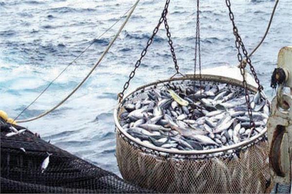 المغرب يؤكد حرصه على نجاح المفاوضات بشأن إعانات مصايد الأسماك في الموعد المحدد
