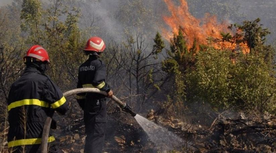 Province de Chefchaouen: Poursuite des opérations pour la maîtrise d'un incendie dans la forêt d'Achacha-Tassift