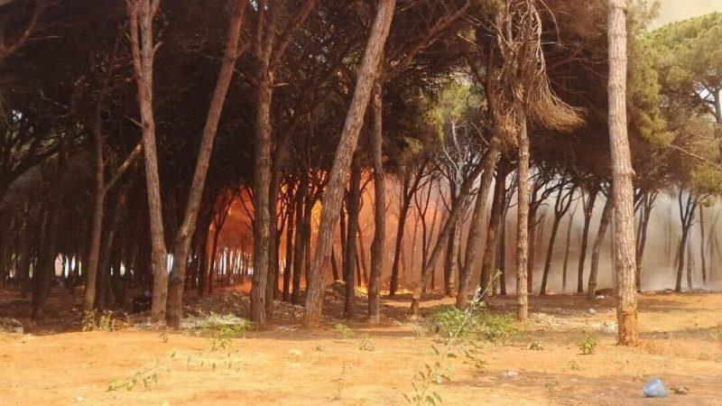 مصرع شخص وإصابة آخر في حريق بغابة "خندق تسيانة" بإقليم تاونات