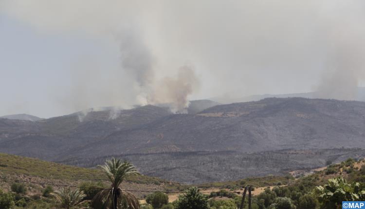حريق غابة بني ايدر بإقليم تطوان.. الخسائر طالت 220 هكتارا واستقدام تعزيزات إضافية لتعزيز جهود الإطفاء