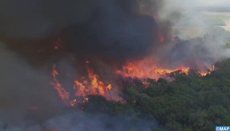 تعبئة مستمرة لاحتواء حريق غابة "آل سريف" بإقليم العرائش