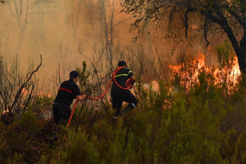 Province de Chefchaouen: l'incendie "relativement" maîtrisé dans la zone forestière au niveau des communes de Tassift et Talmbout
