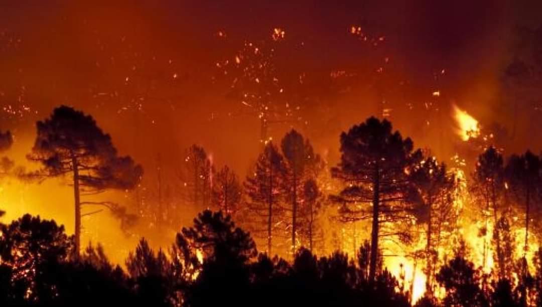 Incendies en Sardaigne: l'UE mobilise une aide d'urgence en faveur de l'Italie