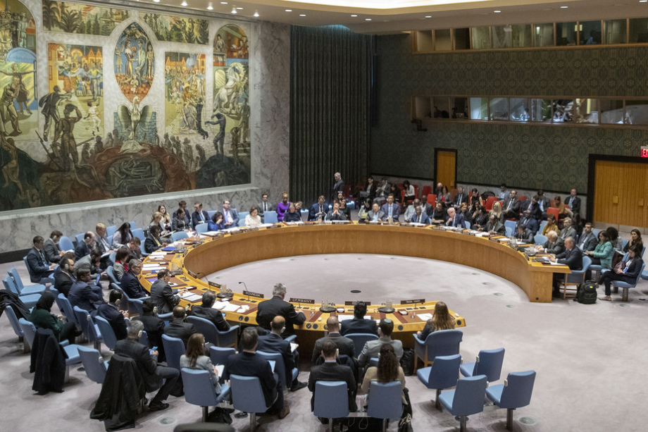 Conseil de sécurité : le mandat de la MANUL prorogé de 3 mois