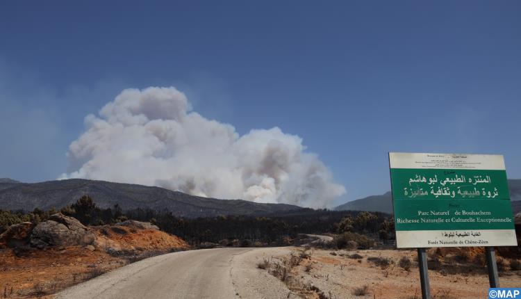 إقليم العرائش.. تواصل التعبئة للسيطرة على حريق غابة بوهاشم