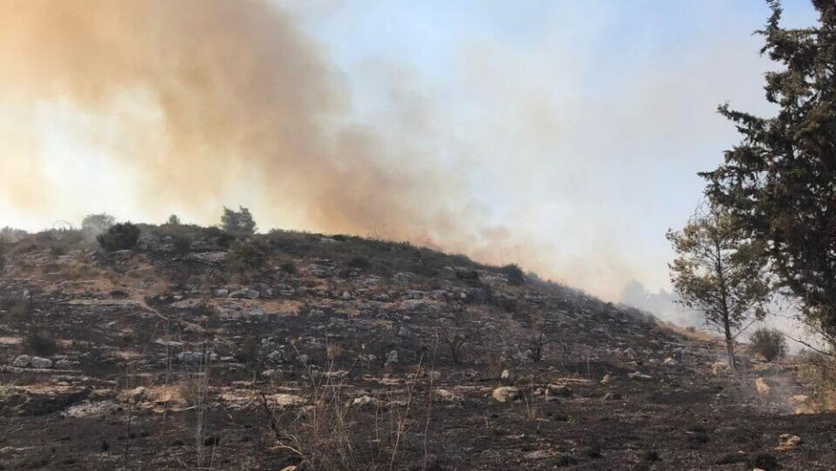 Israël: un grand incendie fait rage dans le centre