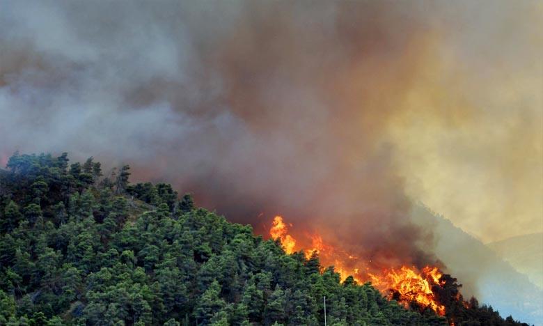 Tétouan: Poursuite de distribution d'aides financières aux propriétaires des habitations touchées par les incendies de forêt
