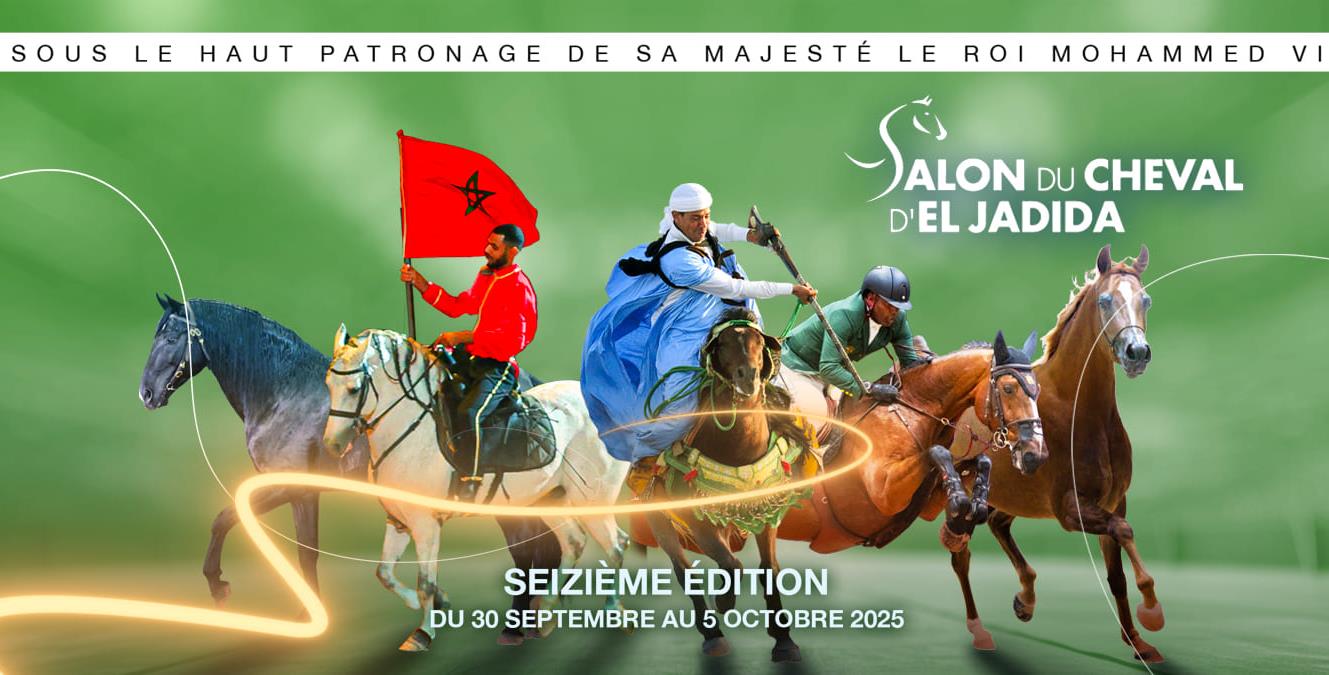 16ème Salon du Cheval d’El Jadida : Un cycle de conférences dédié au bien-être du cheval et au patrimoine équestre