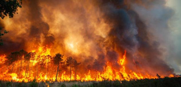 إسبانيا.. حرائق الغابات مازالت مستمرة