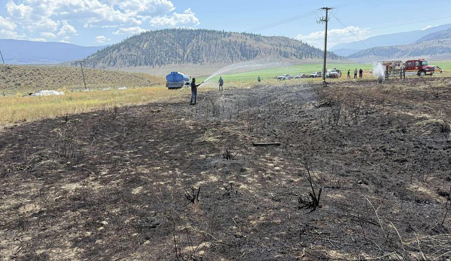 Un poisson tombé du ciel déclenche un incendie et une panne d’électricité dans l’Ouest canadien