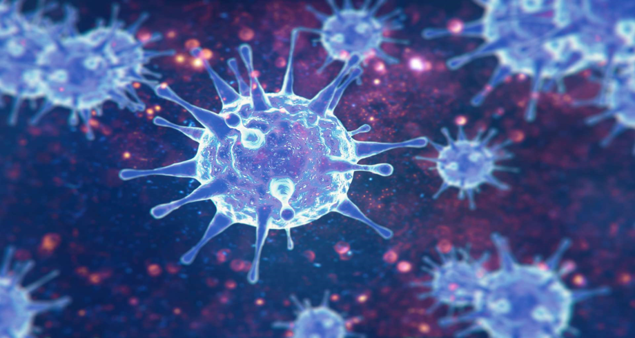 Coronavirus: le bilan de la pandémie à 10H00 GMT