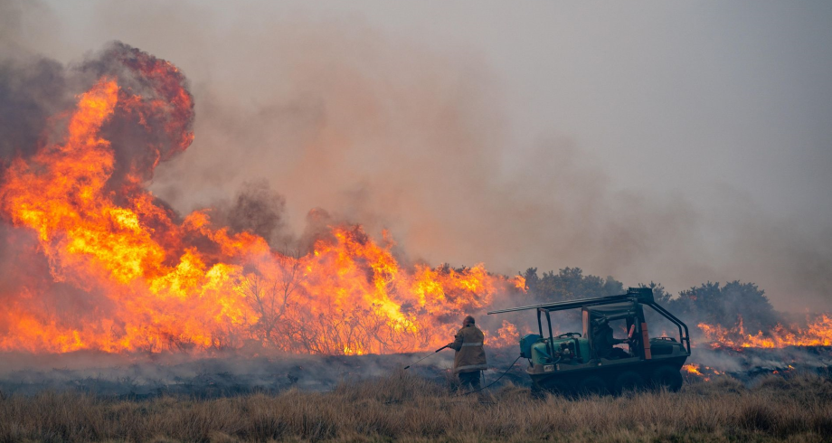 المملكة المتحدة تواجه خطرا "غير مسبوق" لاندلاع حرائق الغابات
