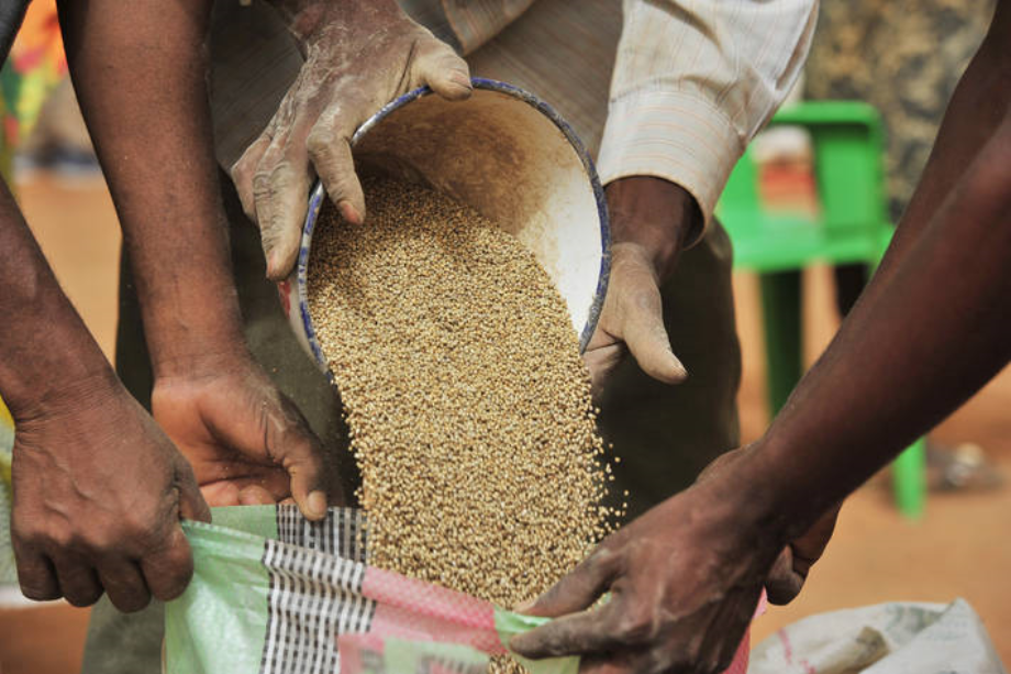 Insécurité alimentaire: les États-Unis octroient plus de 6,6 milliards de dollars d'aides alimentaires à l'Afrique