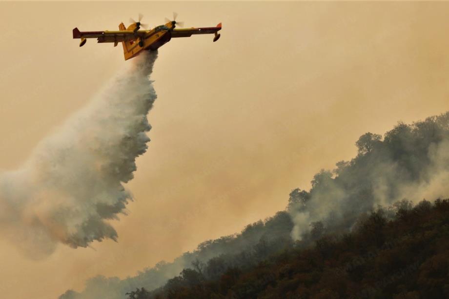Feux de forêts à Chefchaouen : l’incendie partiellement maîtrisé, les interventions se poursuivent