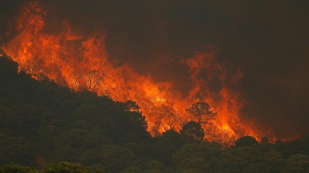 السلطات الإسبانية تكافح حريق غابات ضخم تؤججه الرياح