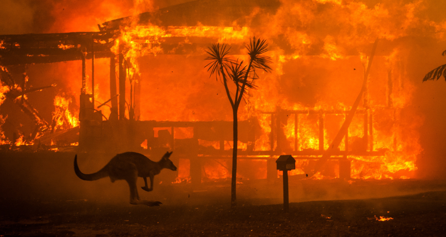 دراسة: حرائق الغابات الأسترالية أثرت بشكل كبير على طبقة الأوزون