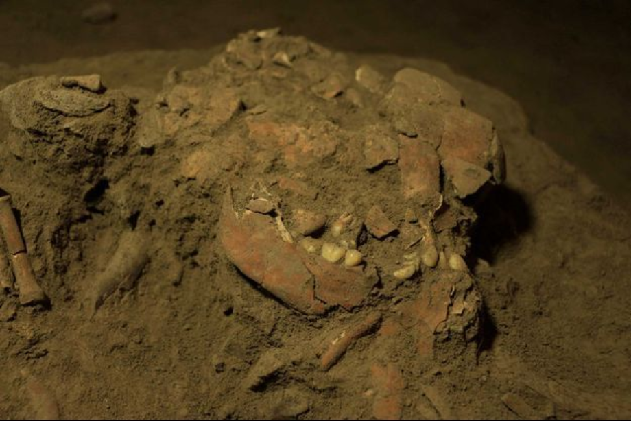 Indonésie: un squelette vieux de 7.200 ans révèle un groupe humain encore inconnu