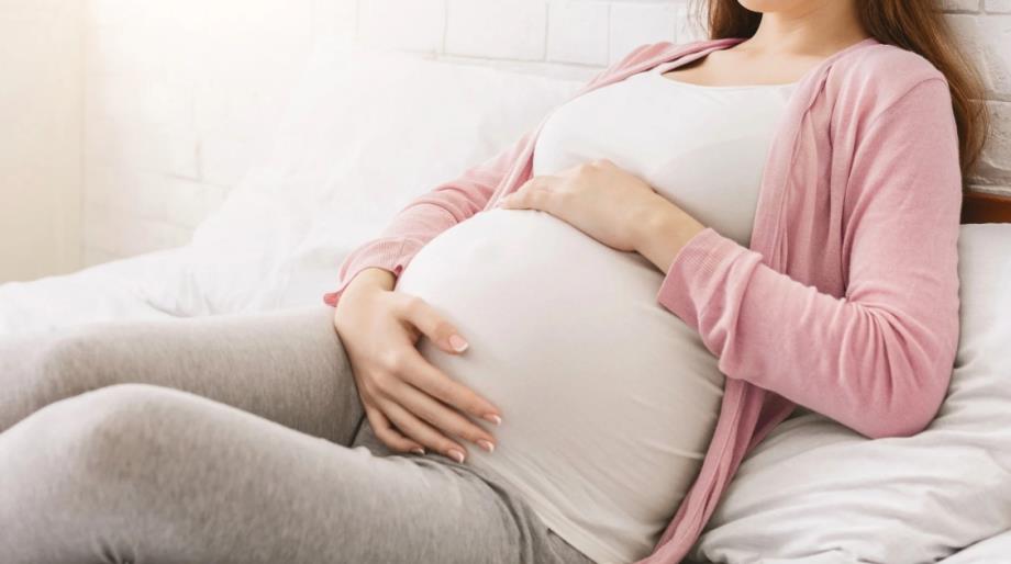 ميكروبات الأمهات تبني أدمغة الأجنة داخل الرحم