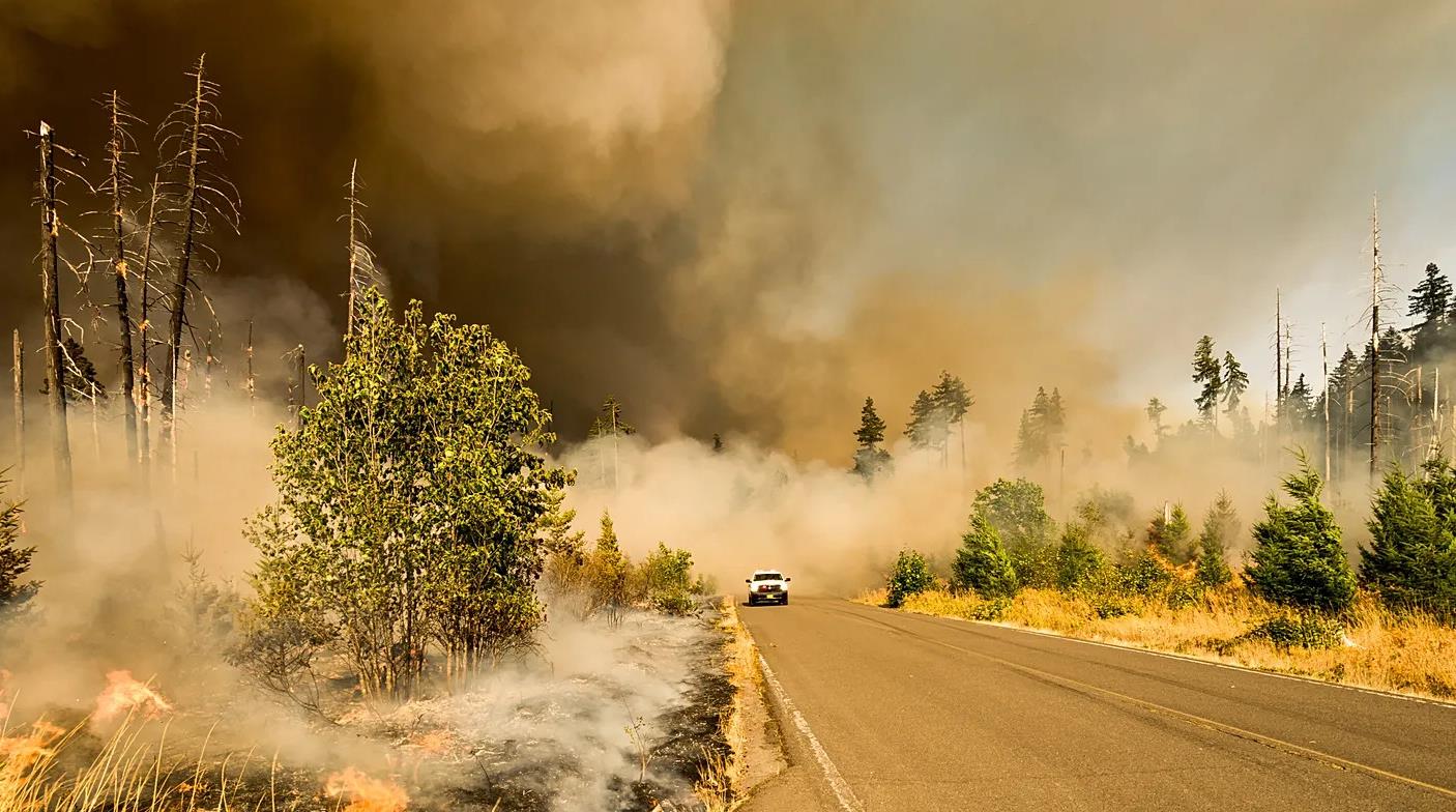La fumée des feux de forêt survenus au Canada en 2023 a fait plus de 80.000 morts dans le monde