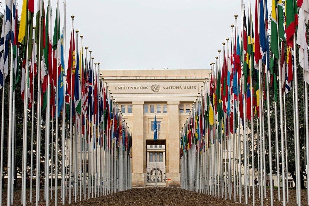 Genève : Une ONG appelle l'Algérie à enquêter sur les exécutions extrajudiciaires