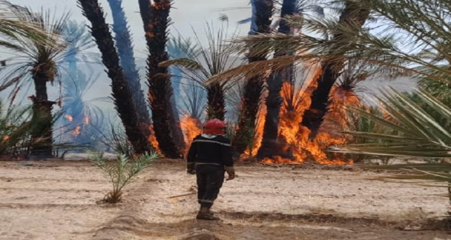 Chtouka-Ait Baha: les efforts se poursuivent pour maîtriser un incendie dans l'Oasis de Targa