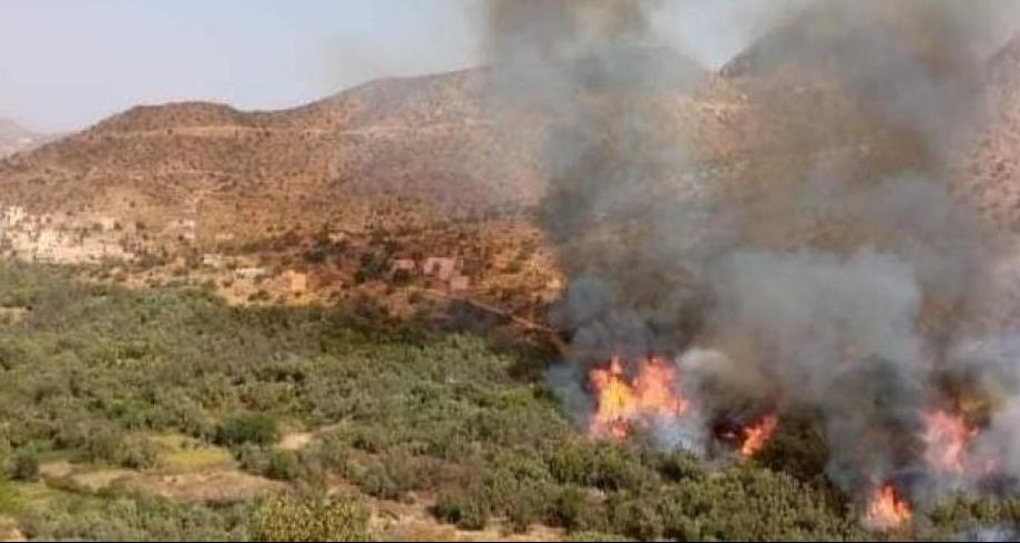 Chtouka-Ait Baha: L'incendie de "l’oasis de Targa" totalement maîtrisé