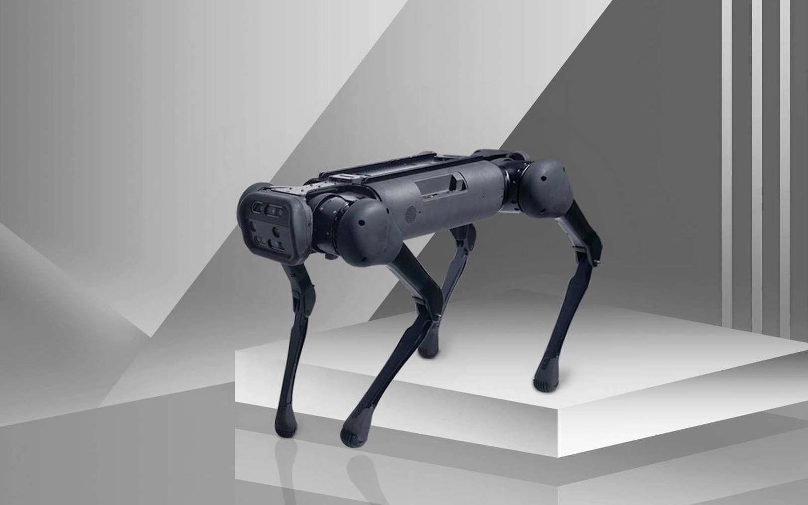 Chine: des chiens-robots testés pour explorer le sous-sol lunaire