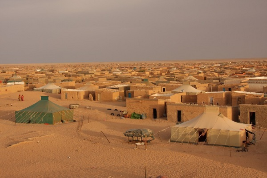 Camps de Tindouf: les violations caractérisées des droits de l'homme par le polisario dénoncées devant la 4è Commission de l’AG de l’ONU