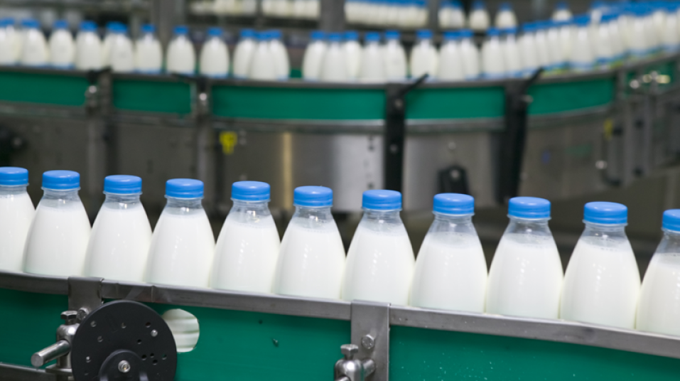 Lancement prochain d'un programme de soutien à la chaîne de production du lait (Baitas)