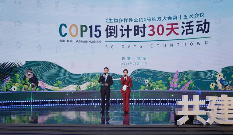 Biodiversité: Coup d'envoi de la COP15 en Chine