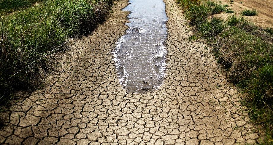 العراق يقلص مساحاته المزروعة بمقدار النصف بسبب الجفاف