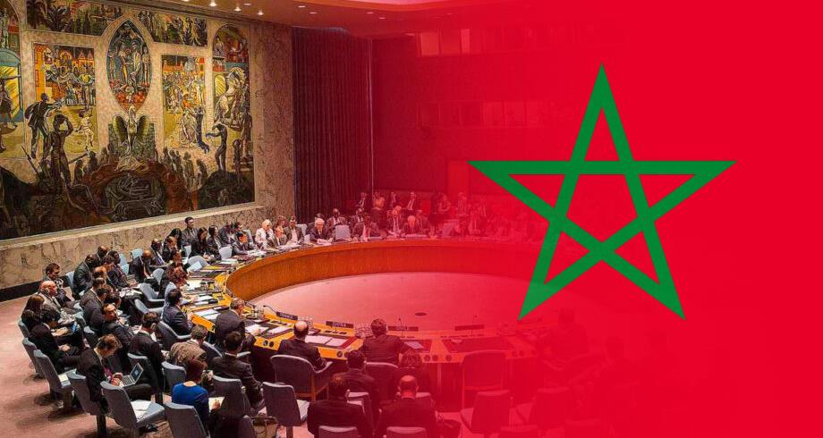 منظمتان غير حكوميتين تشيدان بقرار مجلس الأمن 2797