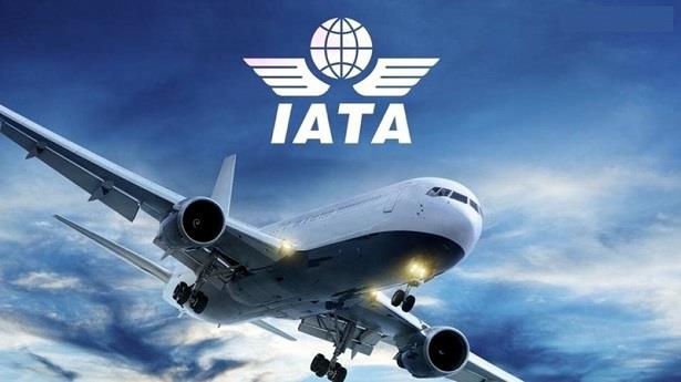 الاتحاد الدولي للنقل الجوي يدعو إلى اعتماد تدابير مبسطة لتسهيل الرحلات