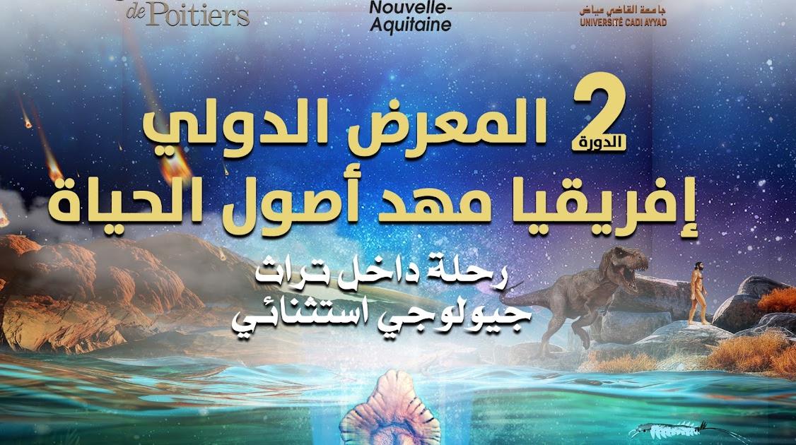 مراكش: افتتاح المعرض الدولي الثاني للتراث الأحفوري "إفريقيا - مهد أصول الحياة"