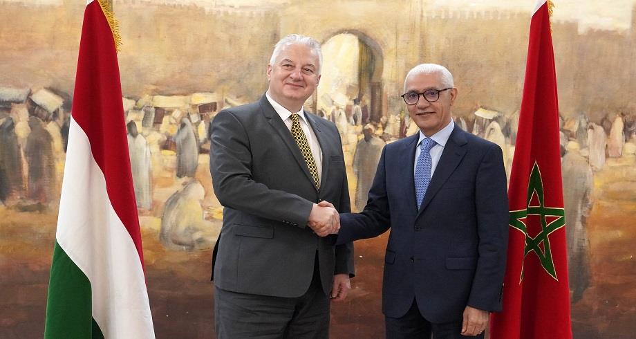 Talbi Alami s’entretient avec le Vice-premier ministre hongrois