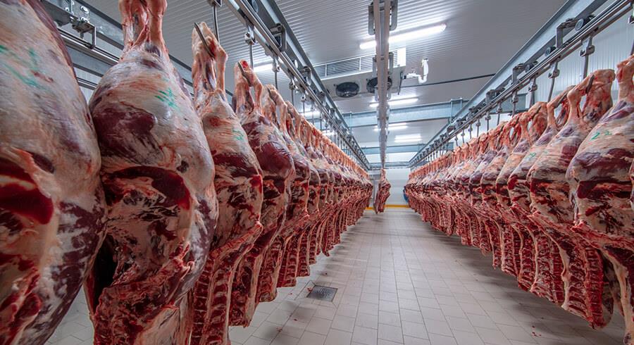 البواري: وضعية سوق اللحوم الحمراء مرتبطة بحالة القطيع الوطني