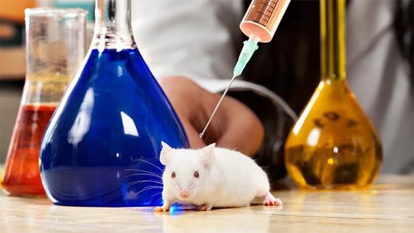 إدارة الغذاء والدواء الأمريكية تعتزم الحد من استخدام الحيوانات في الأبحاث العلمية إدارة الغذاء والدواء الأمريكية تعتزم الحد من استخدام الحيوانات في الأبحاث العلمية