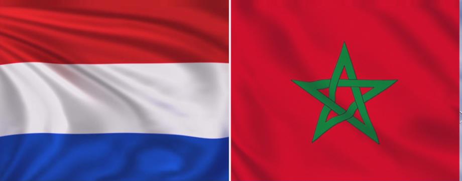 المغرب-الأراضي المنخفضة.. تعاون مزدهر نحو شراكة استراتيجية