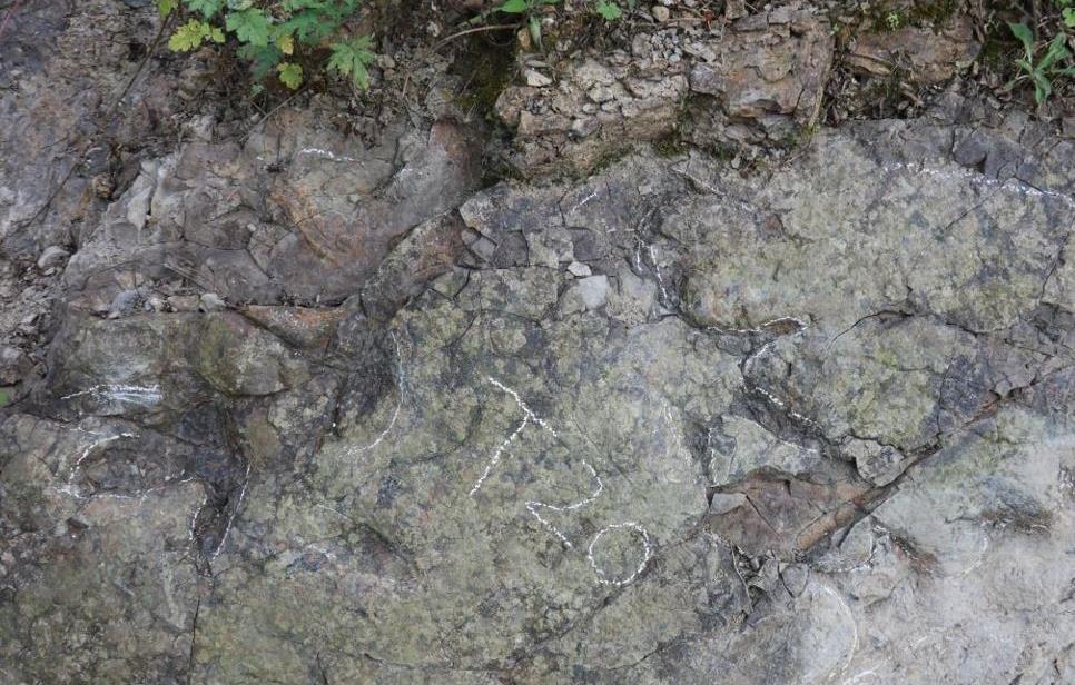 الصين: اكتشاف آثار أقدام ديناصورات يعود تاريخها إلى حوالي 200 مليون سنة