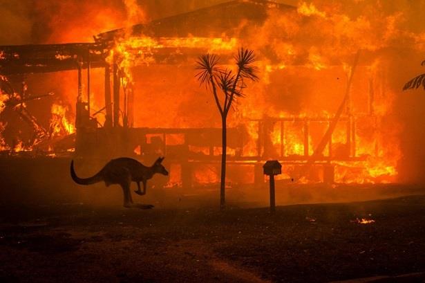Feux de brousse: Plus de 300.000 hectares ravagés dans le sud-est de l’Australie