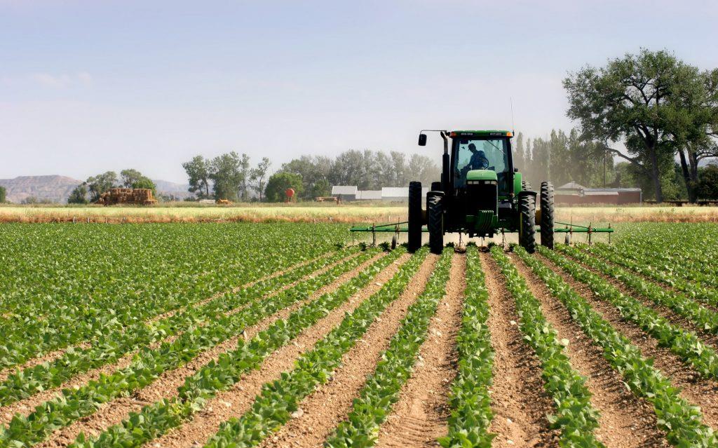 الموسم الفلاحي 2024-2025 : انطلاقة واعدة لقطاع يبحث عن نفس جديد